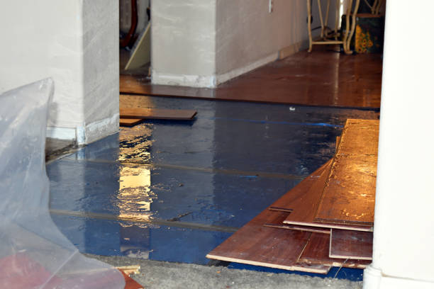Professional Flood Damage Repair technician working in Forestville, MI
